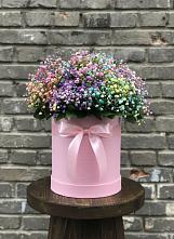 Цветочная композиция из Гипсофила и Розы в шляпной коробке в Кужорской