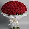 Букет 101 Красная роза Блэк Мэджик в Кужорской