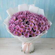 Букет цветов из:  Хризантемы в Кужорской