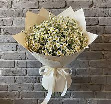Букет цветов из:  Ромашки #REPLACE_PRED# Кужорской