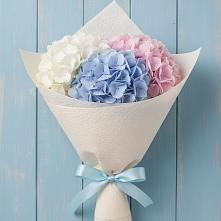 Букет цветов из:  Гортензия #REPLACE_PRED# Кужорской