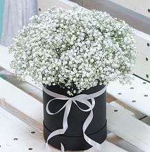Цветочная композиция из Гипсофила в шляпной коробке в Кужорской