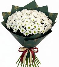 Букет цветов из:  Хризантемы в Кужорской