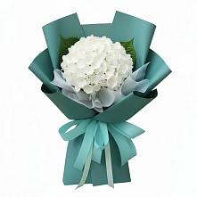 Букет цветов из:  Гортензия в Кужорской